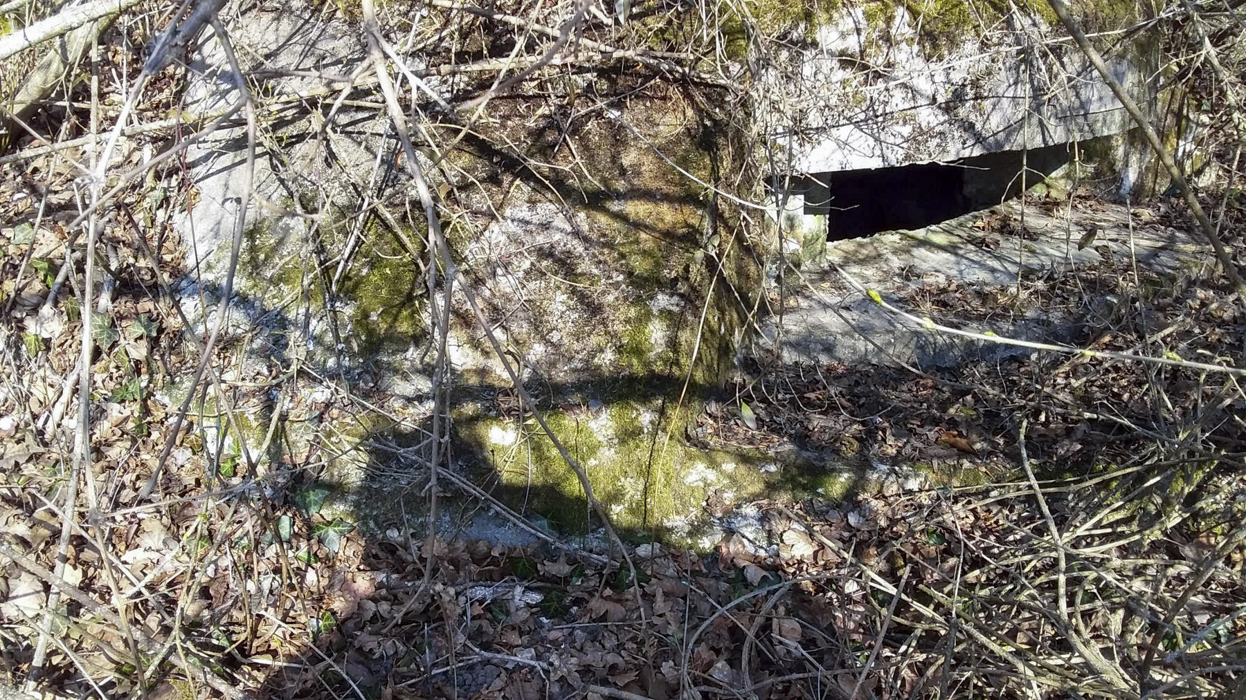 Ligne Maginot - KOENIGSWEG 2 - (Blockhaus pour arme infanterie) -  - Joel Muntzinger