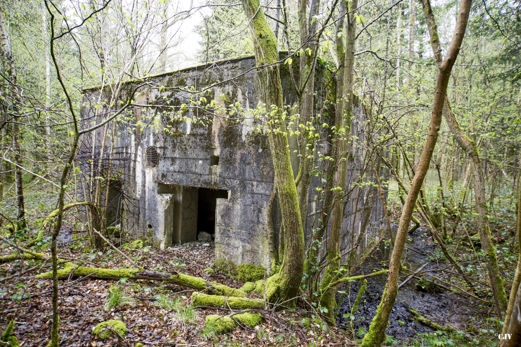 Ligne Maginot - A17 - LE CHARRETIER - (Blockhaus pour canon) -  - Lia VERMEULEN