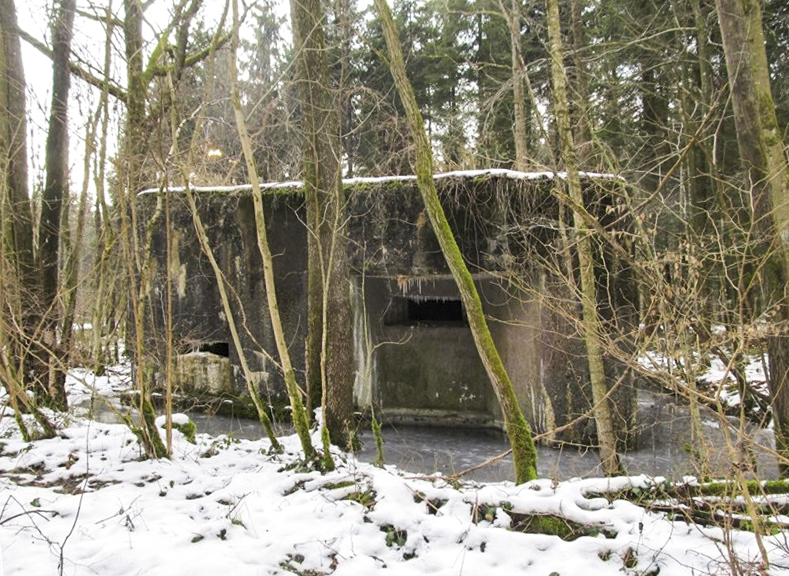 Ligne Maginot - A18 - CARREFOUR AMELIE OUEST - (Blockhaus pour canon) -  - François MATHOT