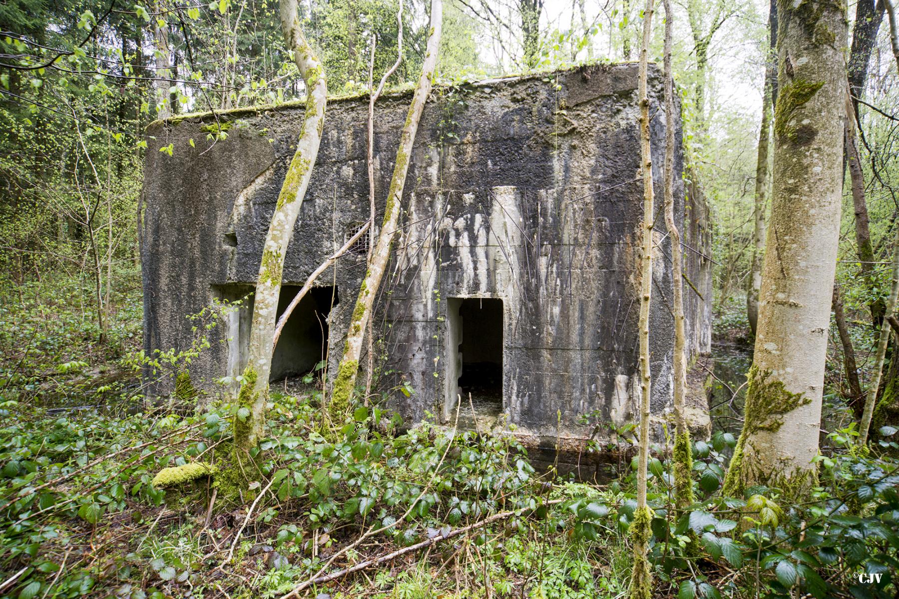 Ligne Maginot - A18 - CARREFOUR AMELIE OUEST - (Blockhaus pour canon) - Les entrées - Lia VERMEULEN