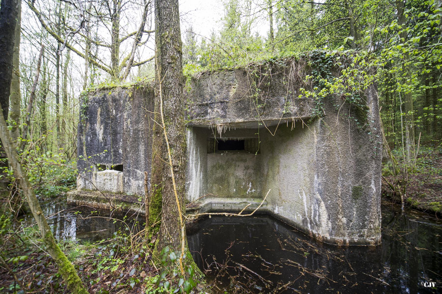 Ligne Maginot - A18 - CARREFOUR AMELIE OUEST - (Blockhaus pour canon) -  - Lia VERMEULEN