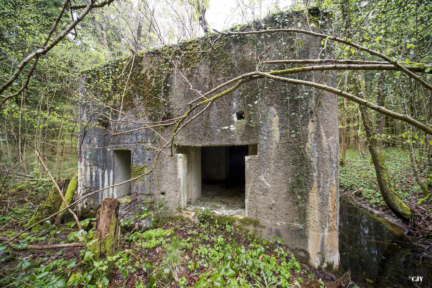 Ligne Maginot - A19 - CARREFOUR AMELIE EST - (Blockhaus pour canon) -  - Lia VERMEULEN