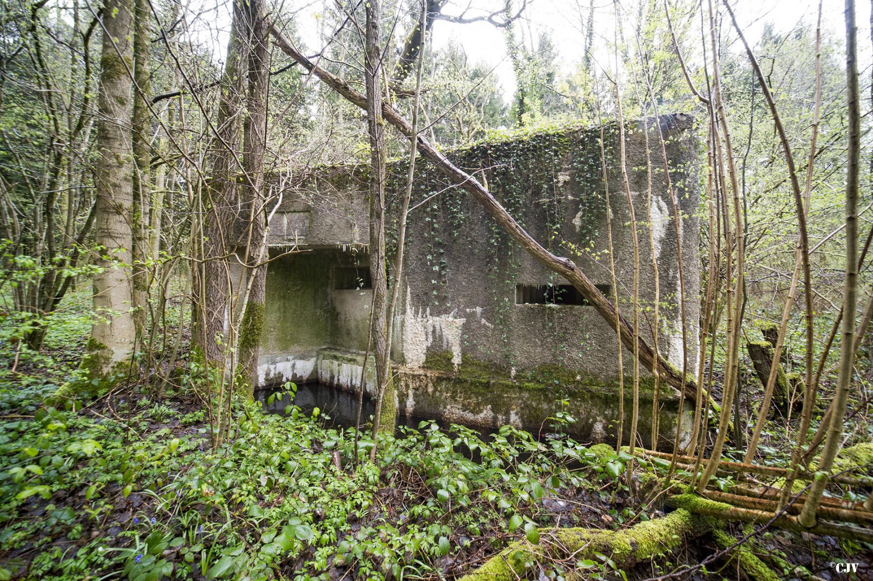 Ligne Maginot - A19 - CARREFOUR AMELIE EST - (Blockhaus pour canon) -  - Lia VERMEULEN
