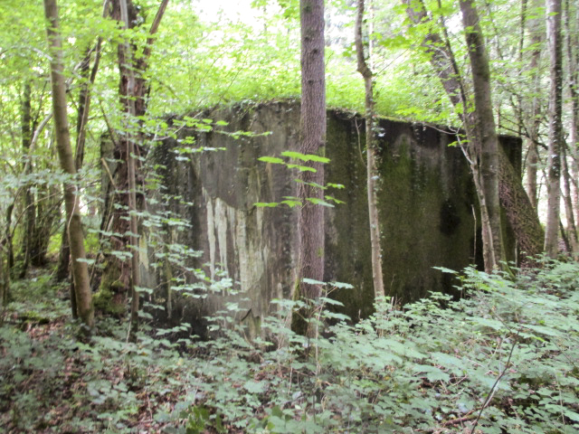 Ligne Maginot - A19 - CARREFOUR AMELIE EST - (Blockhaus pour canon) -  - Randonneur62