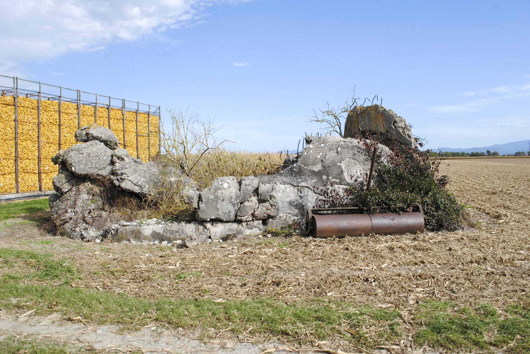 Ligne Maginot - OBERSAASHEIM SUD 1 - (Blockhaus de type indéterminé) -  - Nicolas MULLER