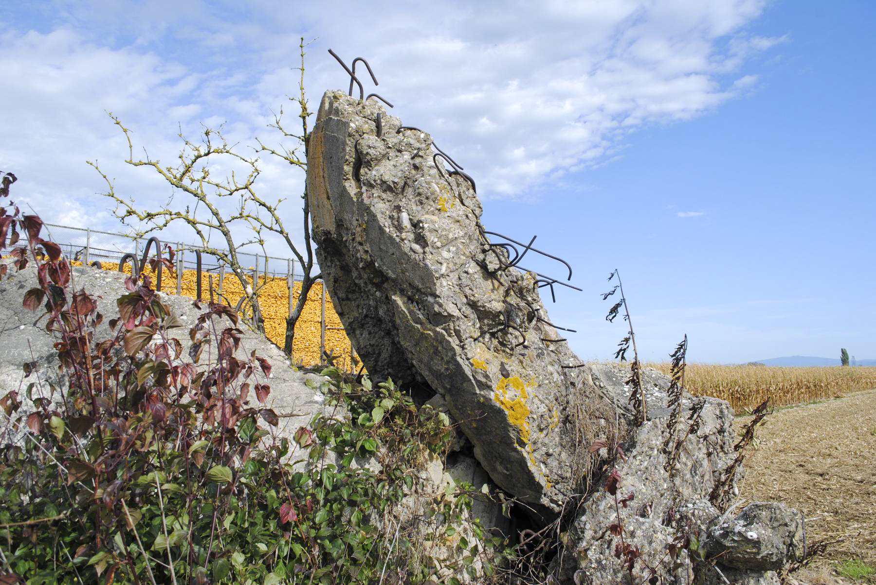 Ligne Maginot - OBERSAASHEIM SUD 1 - (Blockhaus de type indéterminé) -  - Nicolas MULLER