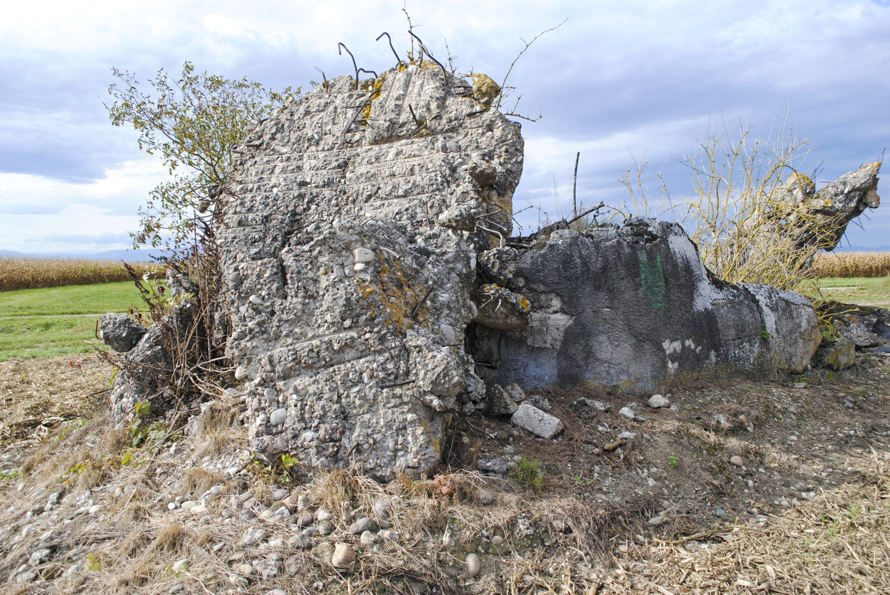 Ligne Maginot - OBERSAASHEIM SUD 1 - (Blockhaus de type indéterminé) -  - Nicolas MULLER