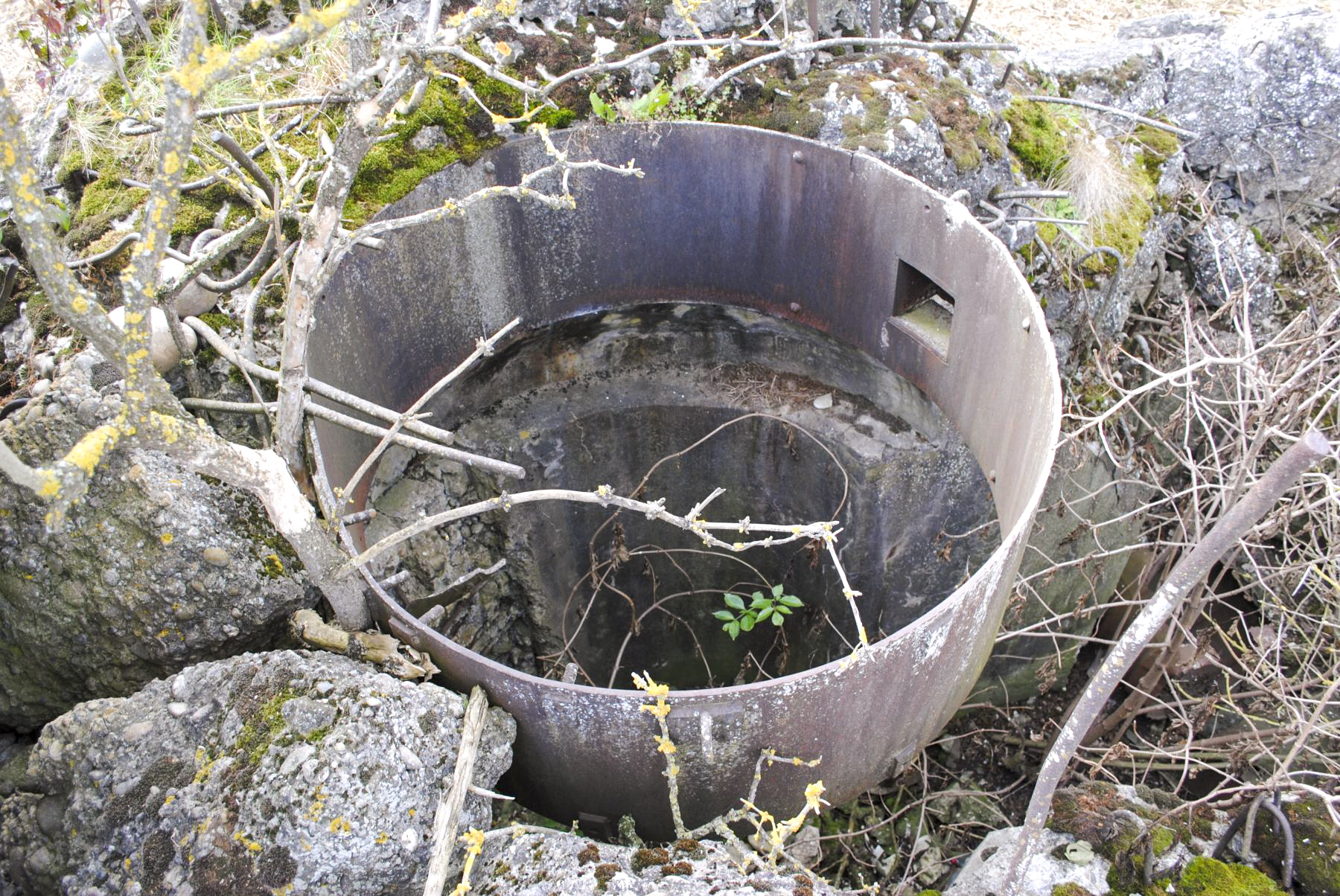 Ligne Maginot - OBERSAASHEIM SUD 1 - (Blockhaus de type indéterminé) -  - Nicolas MULLER