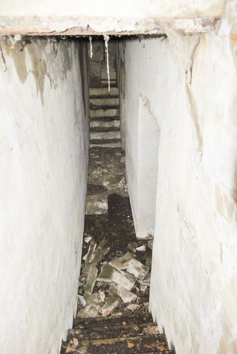 Ligne Maginot - CHATEAU DE HOMBOURG - (Abri) -  - Ludovic KNAPP