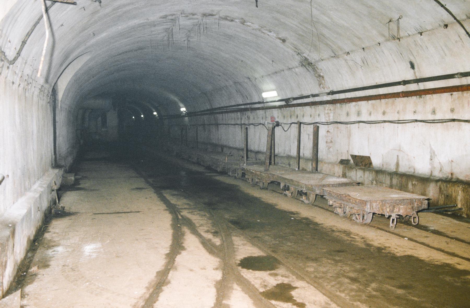 Ligne Maginot - ANZELING - A25 - (Ouvrage d'artillerie) - Gare de déchargement - MANSUY Michel