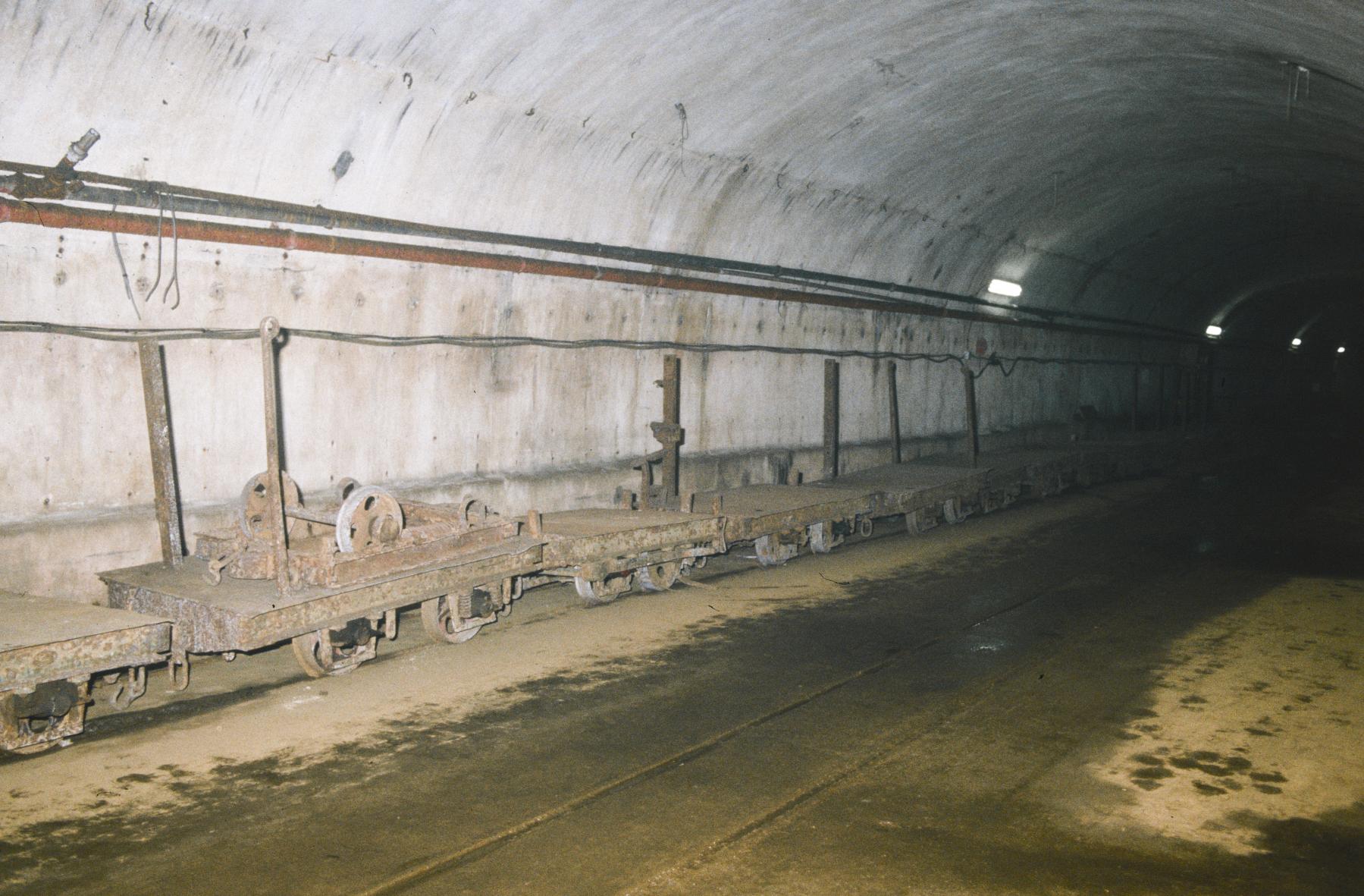 Ligne Maginot - ANZELING - A25 - (Ouvrage d'artillerie) - Gare de déchargement - MANSUY Michel