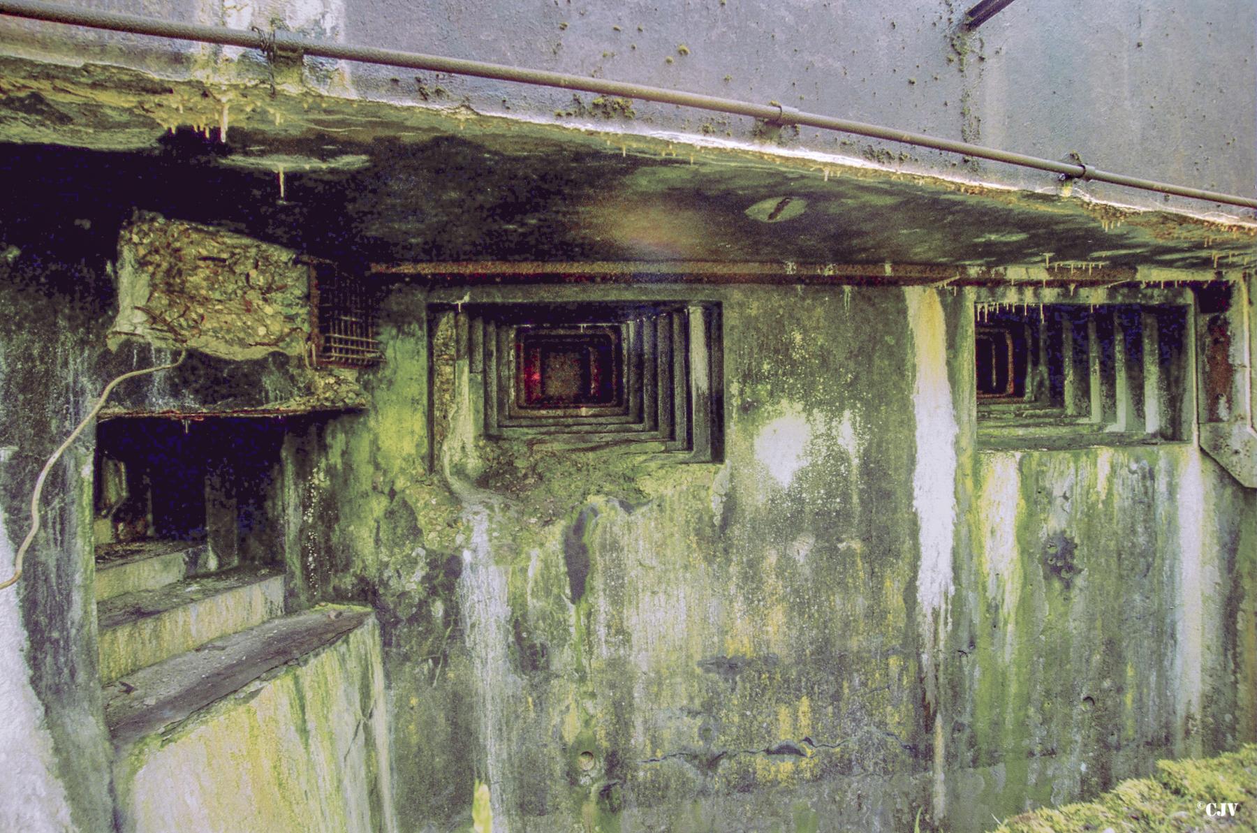 Ligne Maginot - ANZELING - A25 - (Ouvrage d'artillerie) - Bloc 1 - Lia VERMEULEN