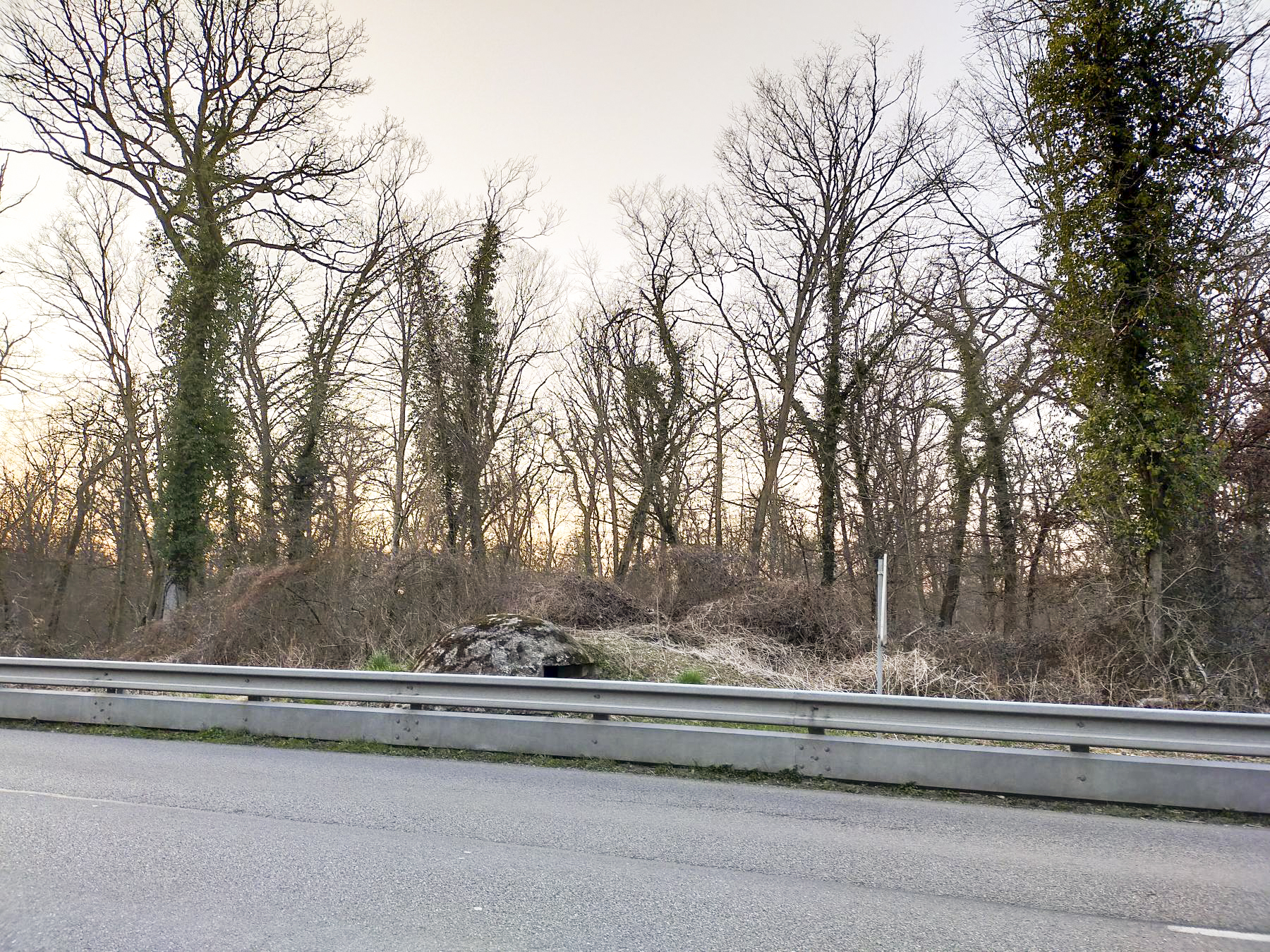 Ligne Maginot - PA DU CARREFOUR 252-2 - (Blockhaus pour arme infanterie) - Depuis l'autre côté de la route. - Julien Boulanger