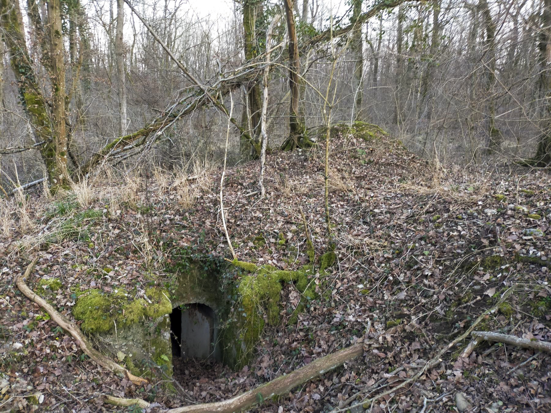 Ligne Maginot - PA DU CARREFOUR 252-3 - (Blockhaus pour arme infanterie) -  - Julien Boulanger