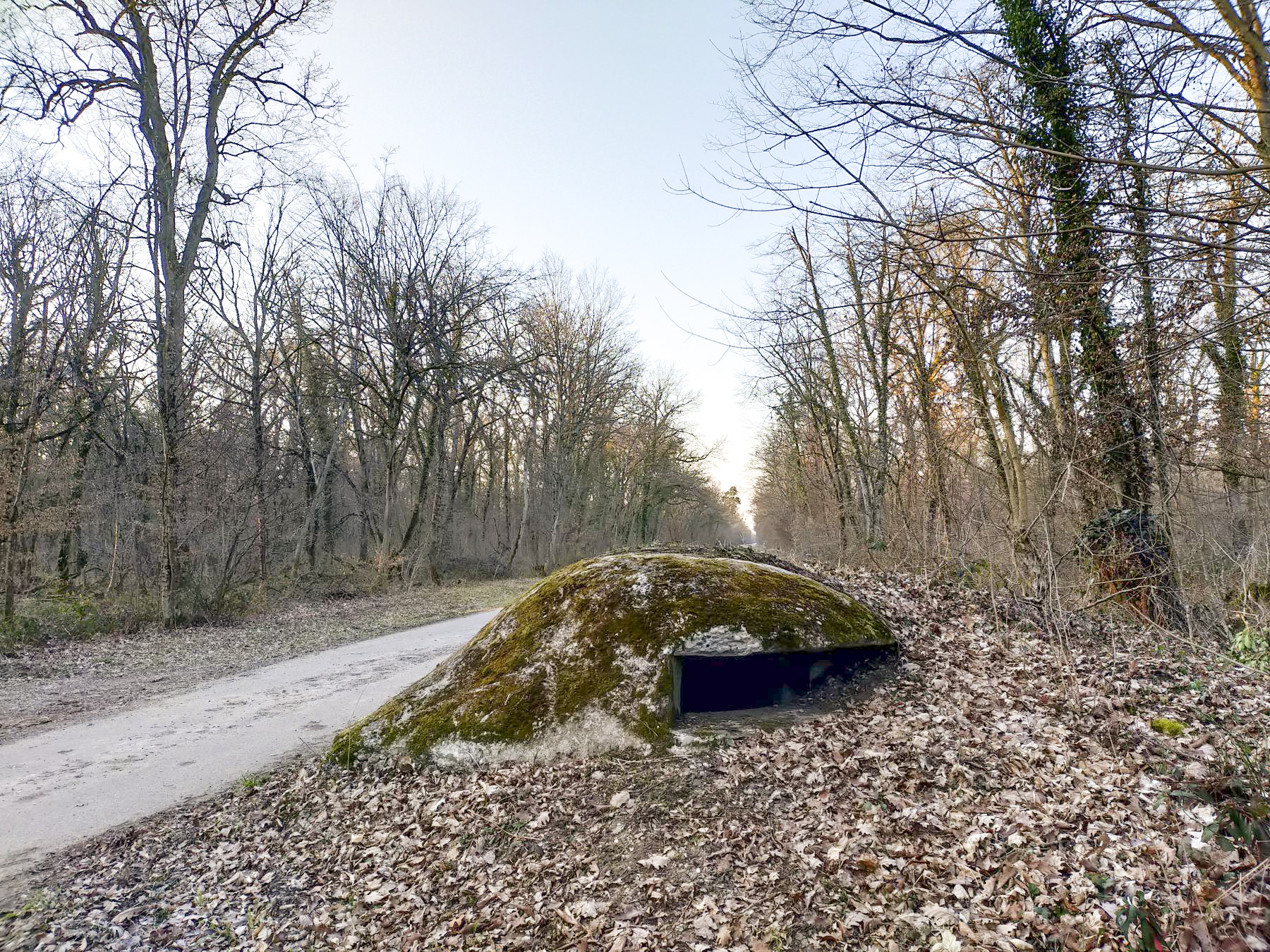 Ligne Maginot - PA DU CARREFOUR 252-1 - (Blockhaus pour arme infanterie) -  - Julien Boulanger