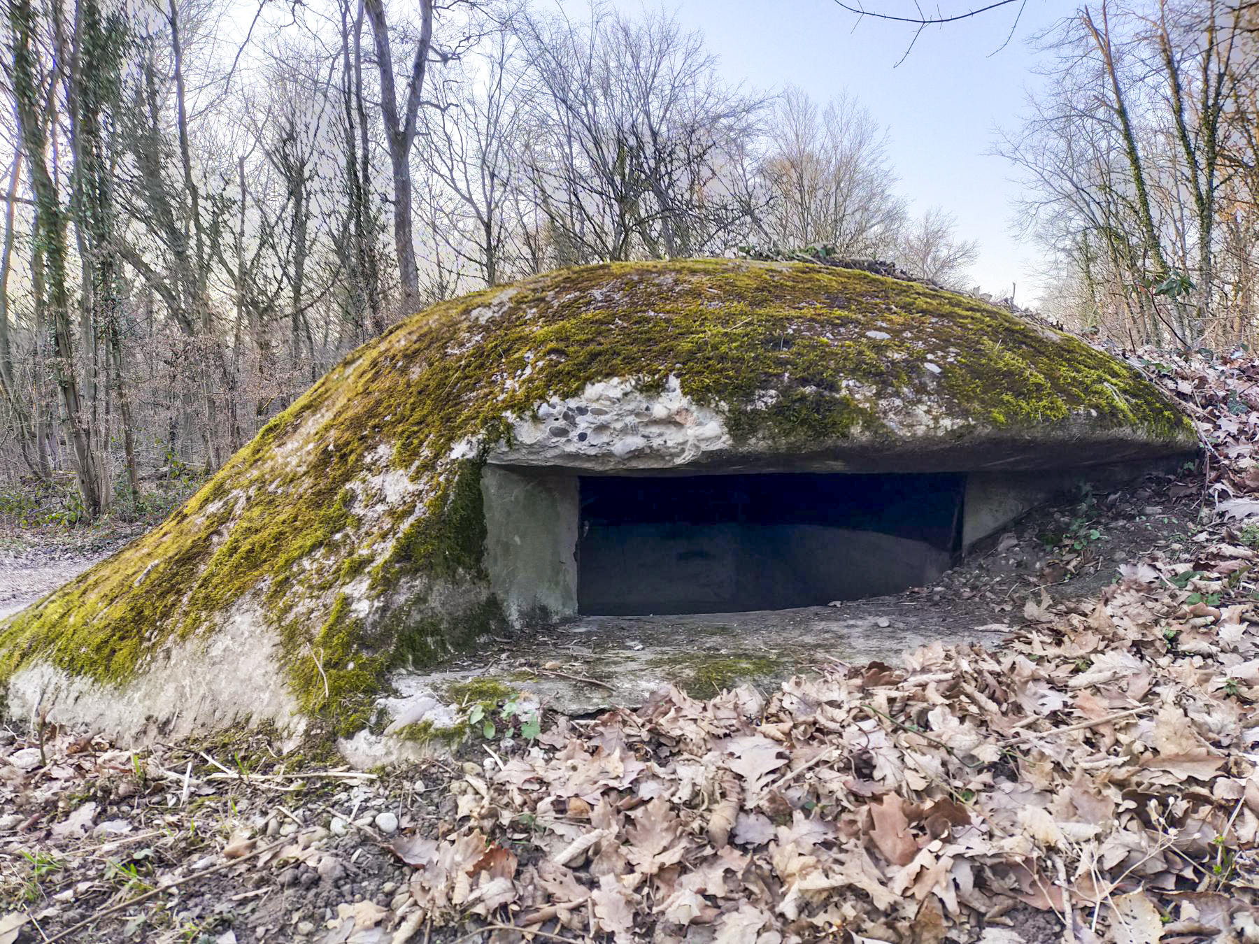 Ligne Maginot - PA DU CARREFOUR 252-1 - (Blockhaus pour arme infanterie) -  - Julien Boulanger