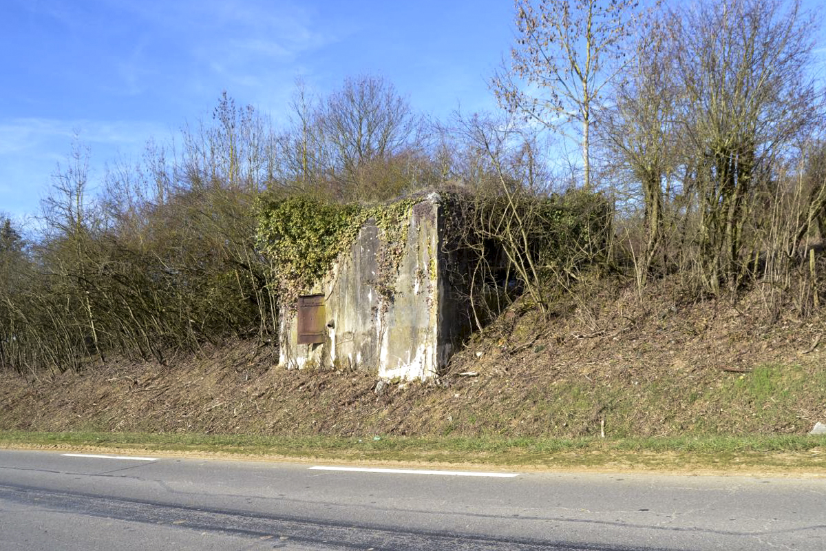 Ligne Maginot - CB120 - RISICKER - (Blockhaus pour canon) - Etat en février 2019 après débroussaillage. - Jules Mathieu