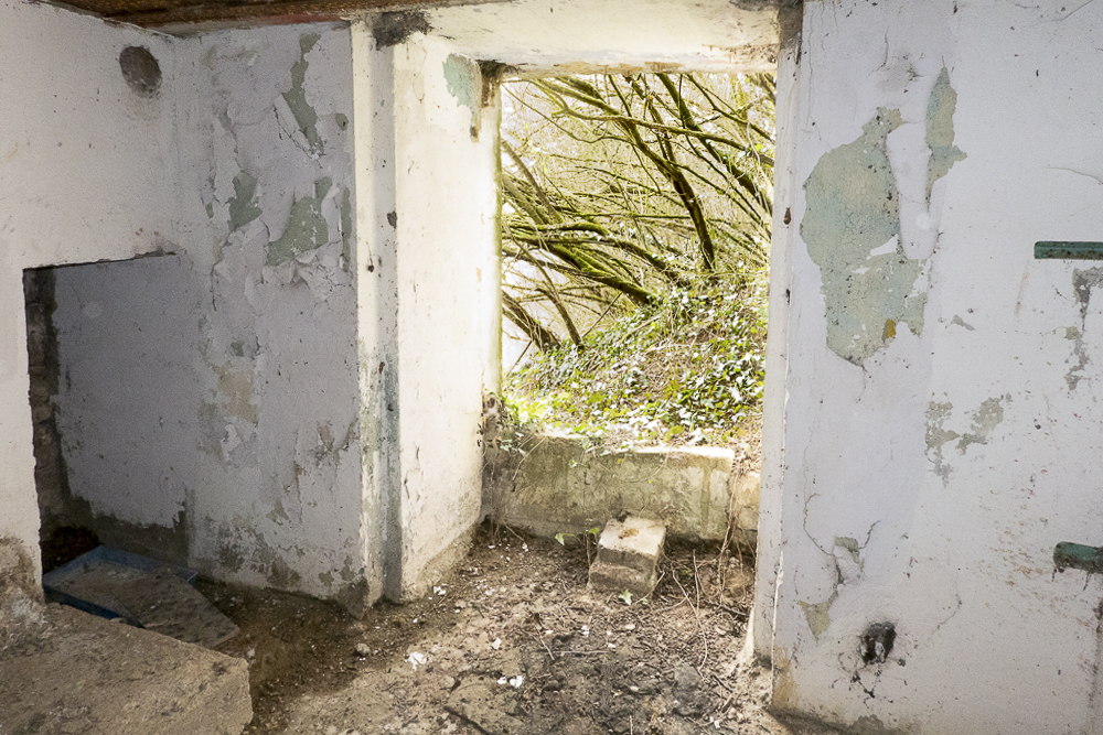Ligne Maginot - CB120 - RISICKER - (Blockhaus pour canon) - Entrée pour le canon à l'arrière du blockhaus.
L'entrée pour le personnel est visible à gauche. - Michel Teiten