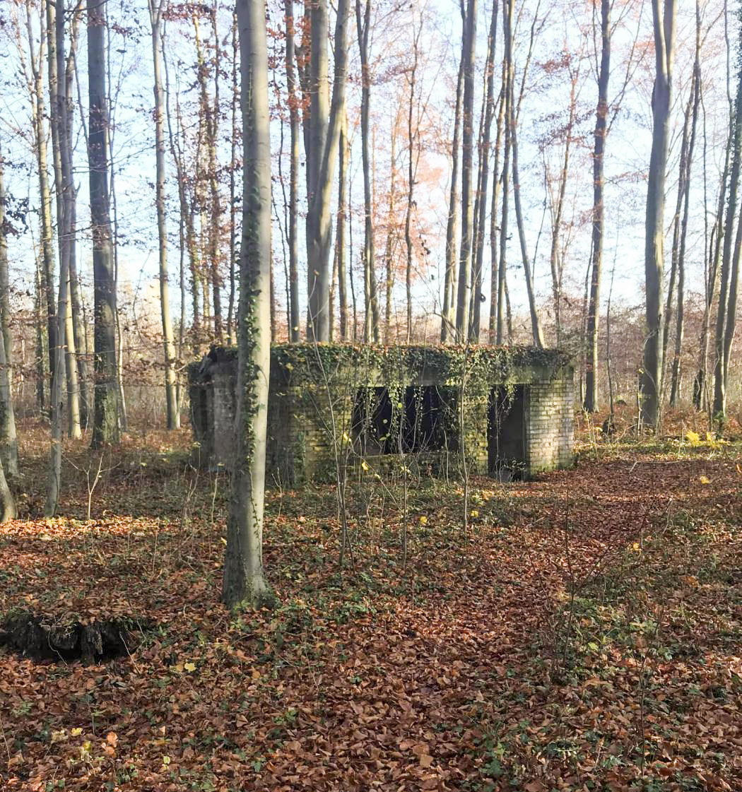 Ligne Maginot - WOERTHWALD (CR MITTELKOPF ) - (PC) - Vue générale - Arthur 