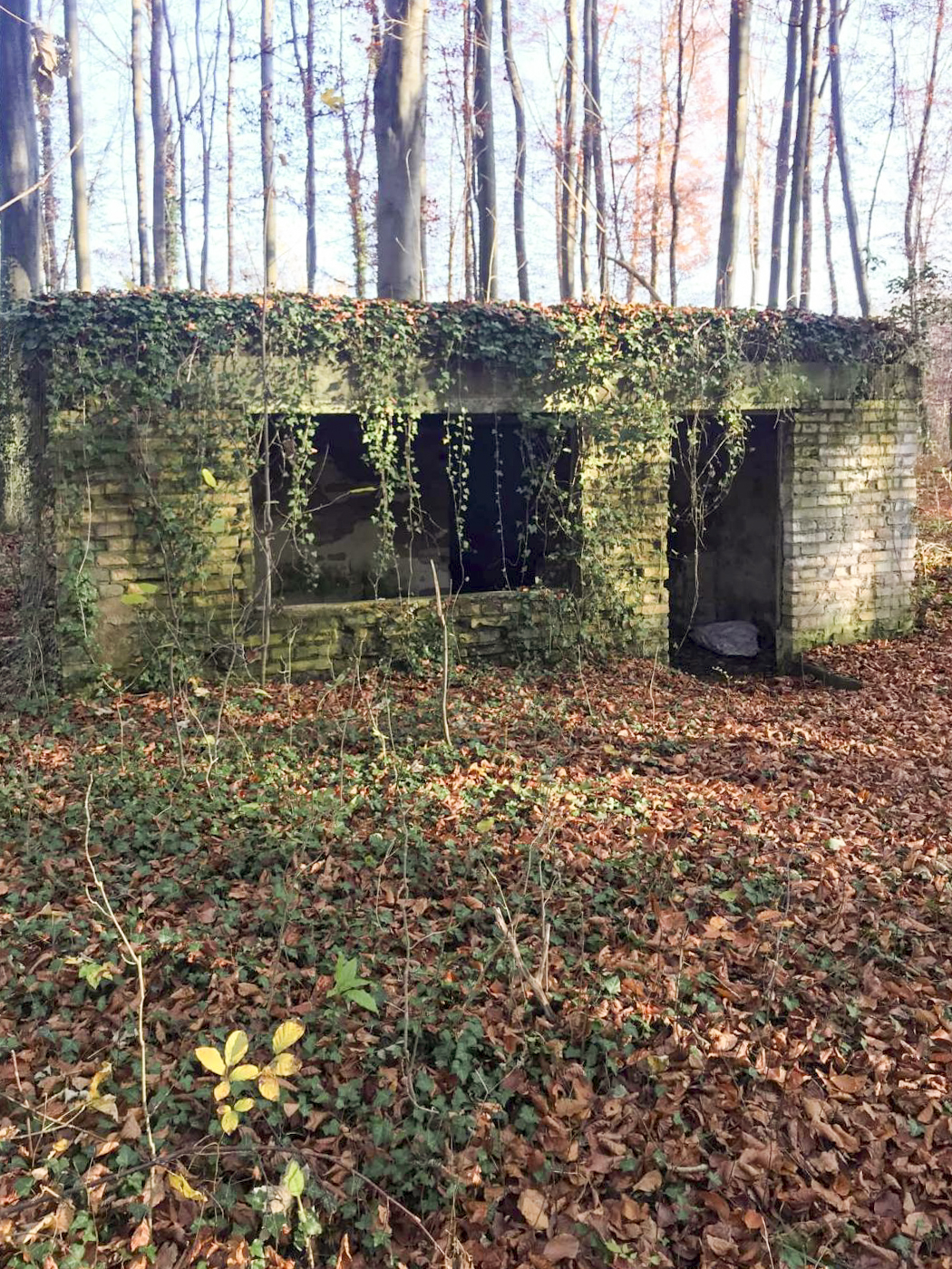 Ligne Maginot - WOERTHWALD (CR MITTELKOPF ) - (PC) -  - Arthur