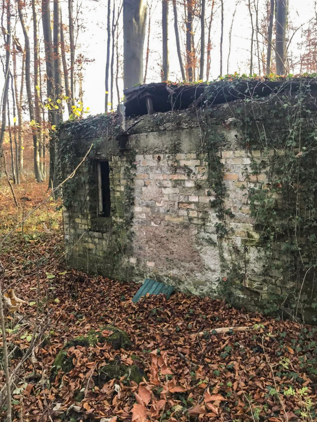 Ligne Maginot - WOERTHWALD (CR MITTELKOPF ) - (PC) -  - Arthur