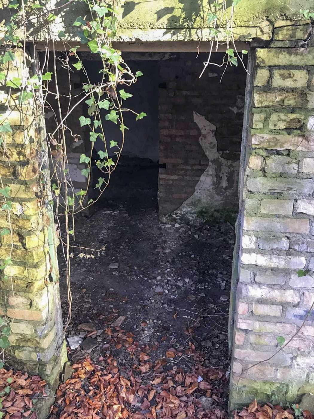 Ligne Maginot - WOERTHWALD (CR MITTELKOPF ) - (PC) -  - Arthur