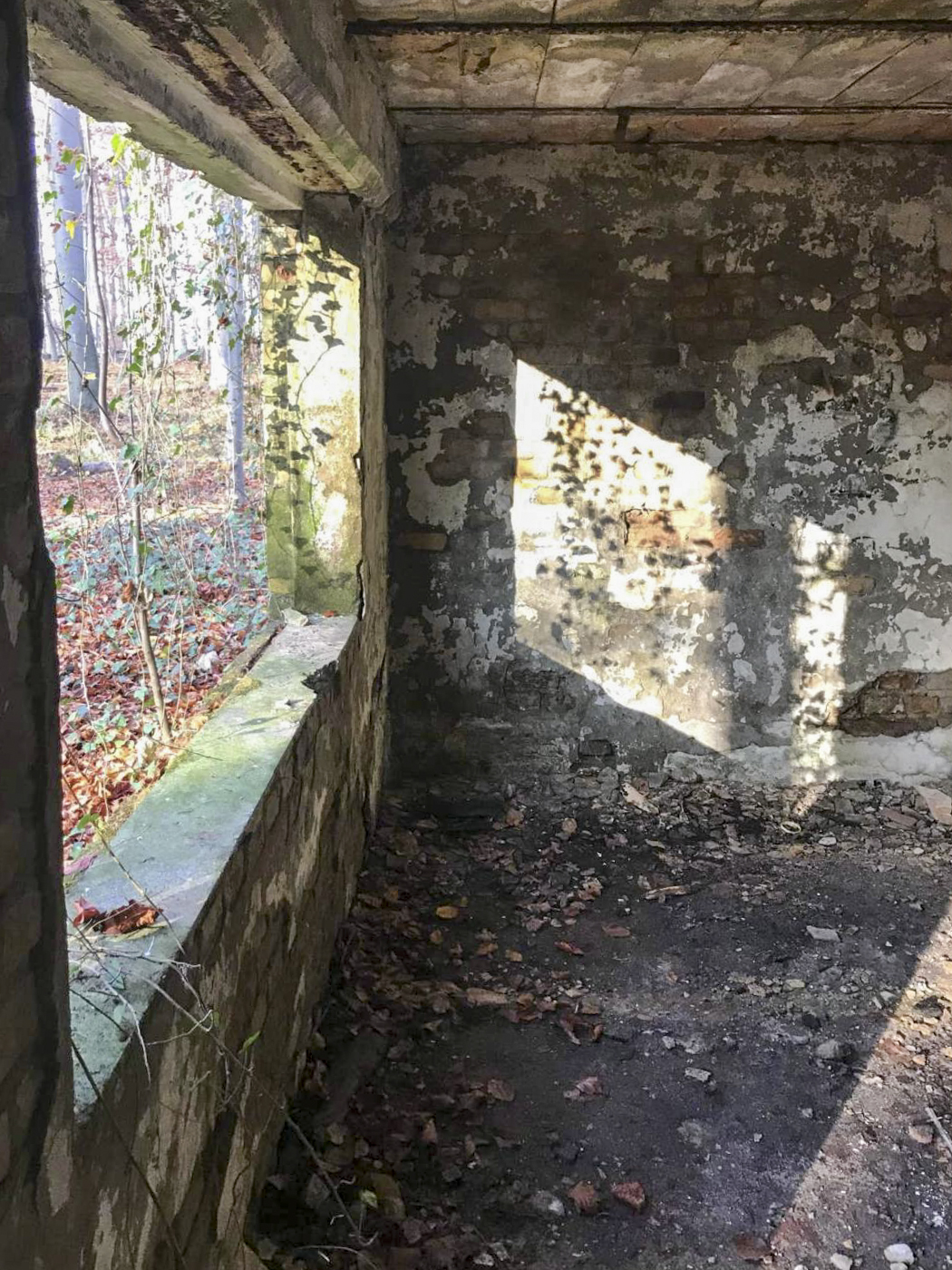 Ligne Maginot - WOERTHWALD (CR MITTELKOPF ) - (PC) - La première pièce - Arthur