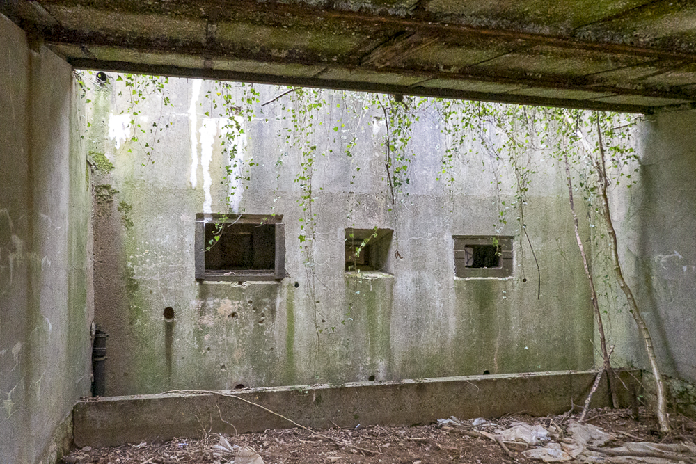 Ligne Maginot - ANGEVILLERS - (Stand de tir) - Stand de tir.
Les trémies de la casemate de tir vues de l'extérieur - Michel Teiten