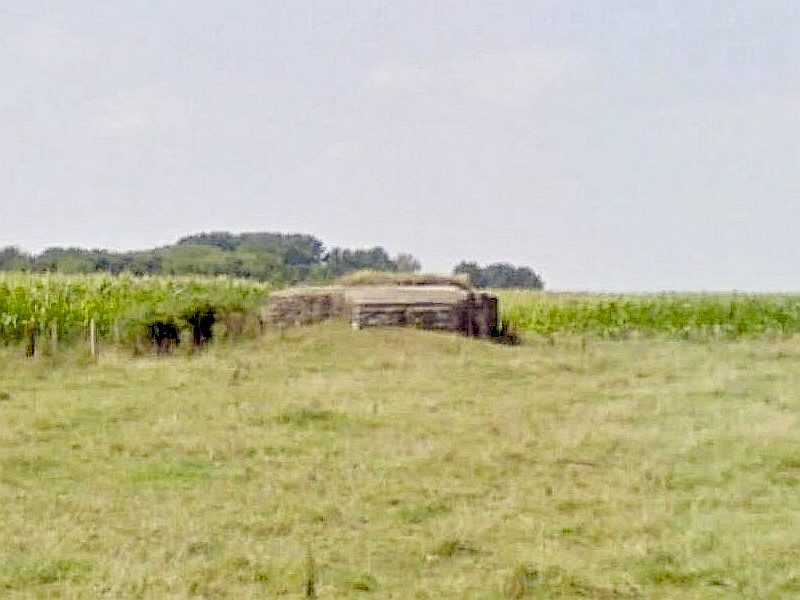 Ligne Maginot - BEF 741 - LES OBLARDS NORD - (Blockhaus pour arme infanterie) -  - Google StreetView