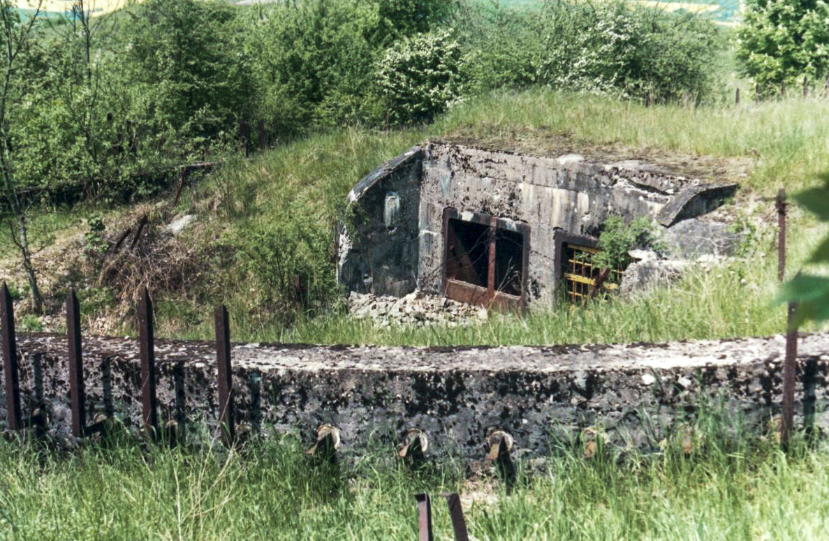 Ligne Maginot - ANZELING - A25 - (Ouvrage d'artillerie) - Cheminée usine (fosse aux ours) - sebach