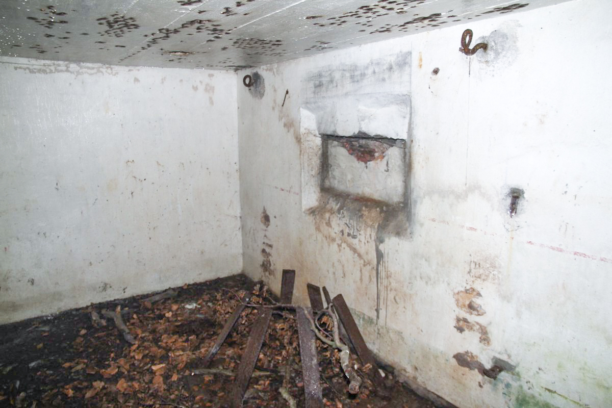 Ligne Maginot - AB1 - (Blockhaus pour canon) - Chambre de tir canon - Alain Perouffe