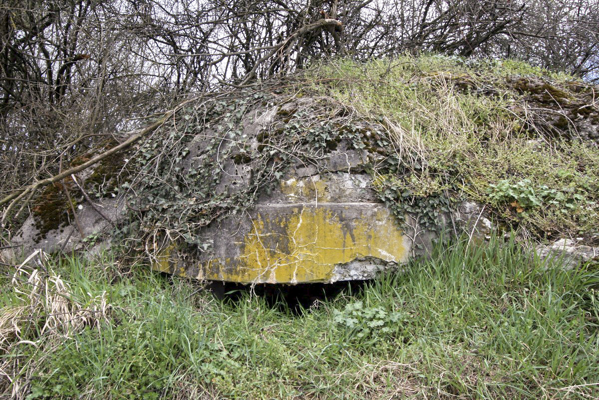 Ligne Maginot - LANGE AECKER 2 - (Blockhaus pour arme infanterie) - Coupole Sud - Alain Perouffe