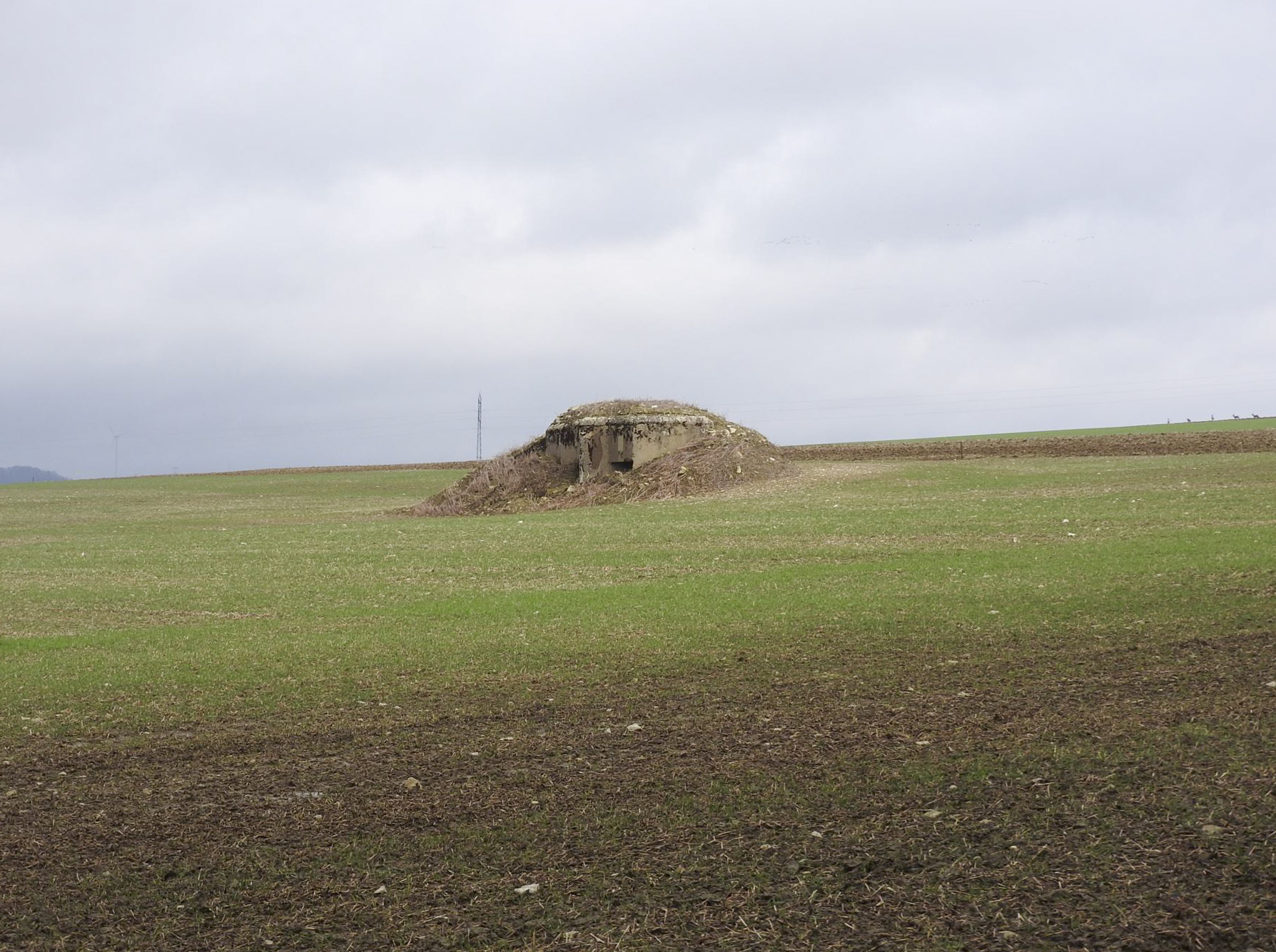Ligne Maginot - BB23 - (Blockhaus pour canon) - Le blockhaus dans son environnement. - STENGER Mathieu