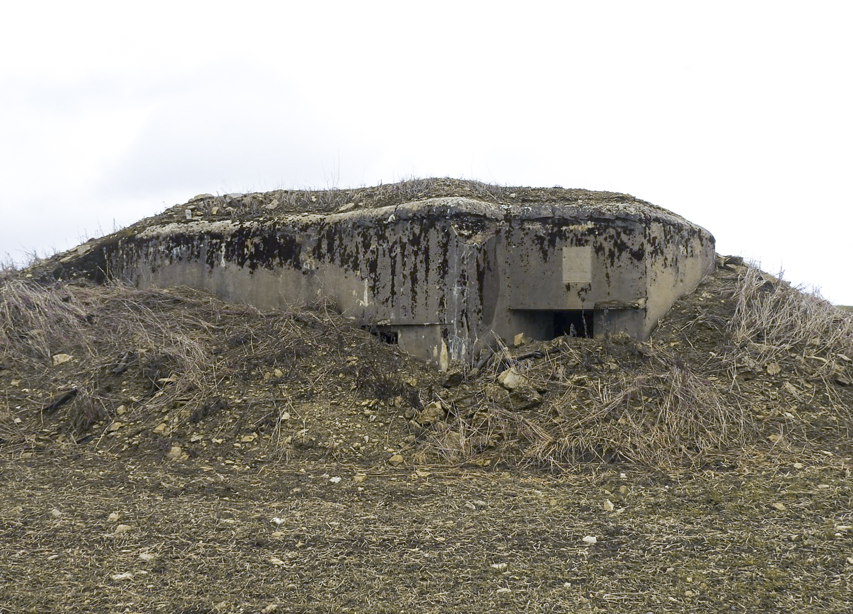 Ligne Maginot - BB23 - (Blockhaus pour canon) - Le blockhaus est en partie remblayé - STENGER Mathieu