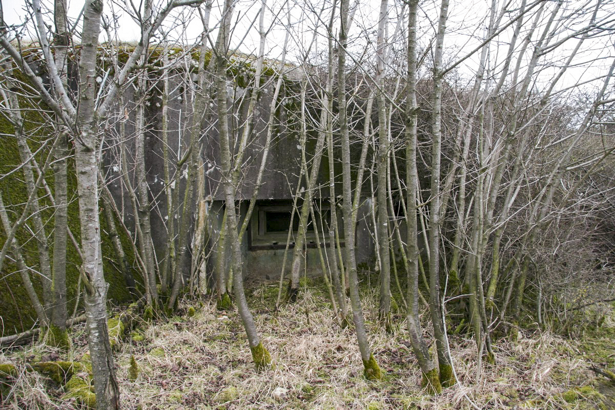 Ligne Maginot - BB23 - (Blockhaus pour canon) -  - Alain Perouffe