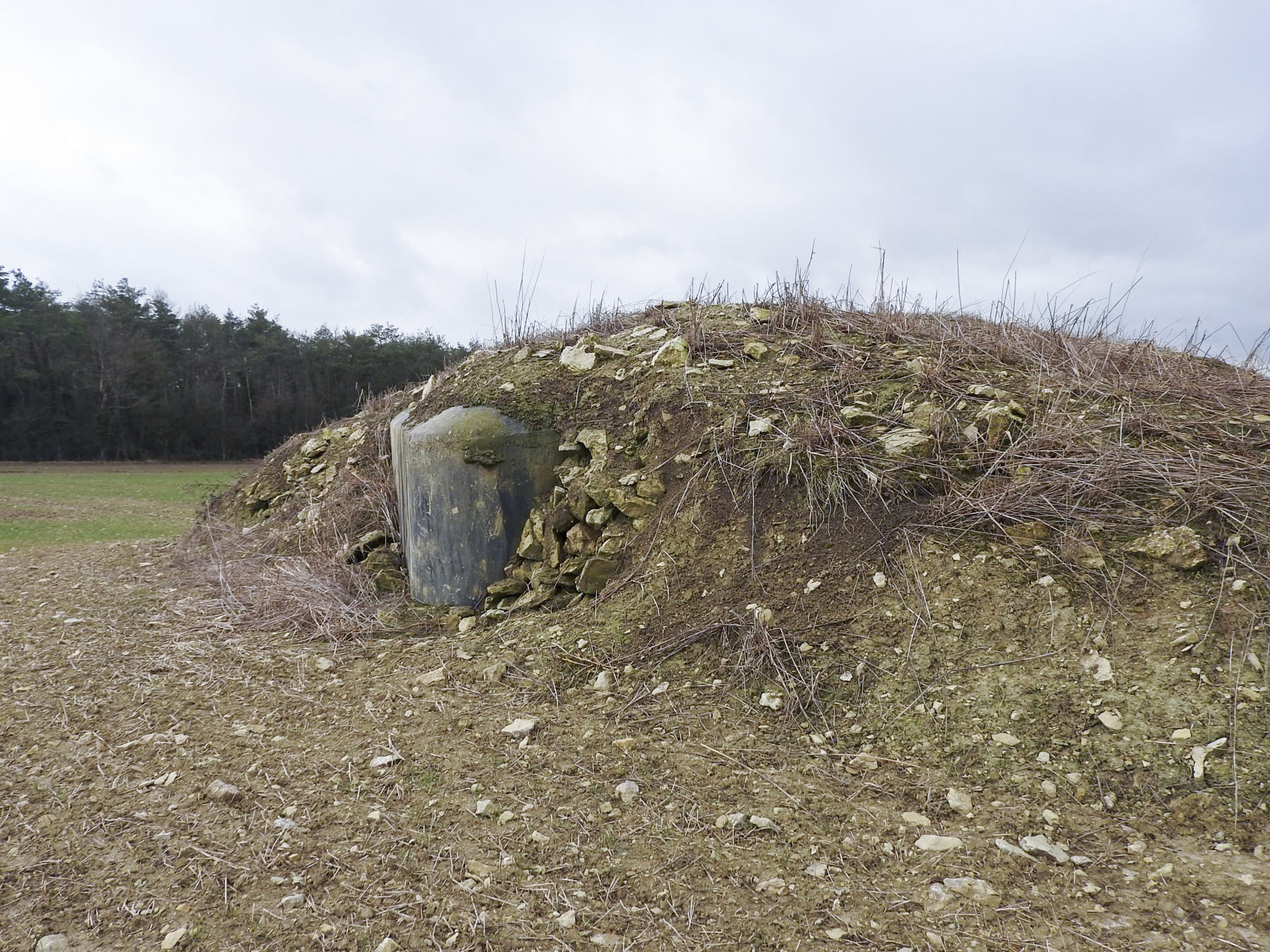 Ligne Maginot - BB23 - (Blockhaus pour canon) - Le blockhaus est en partie remblayé. - STENGER Mathieu
