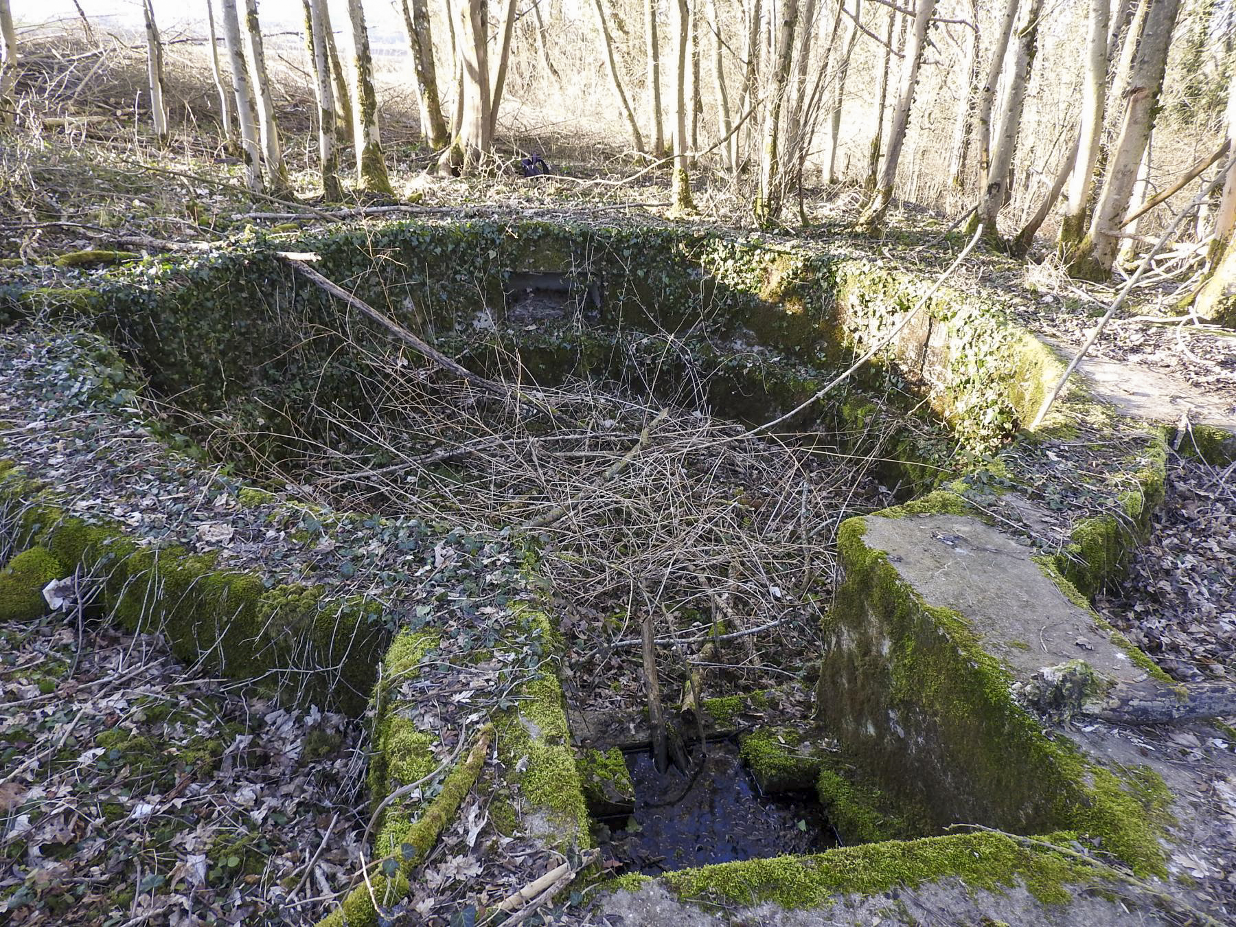 Ligne Maginot - BC1 - HOCHGERICHT - (Cuve pour canon) - L'état de la cuve en 2022. - STENGER Mathieu