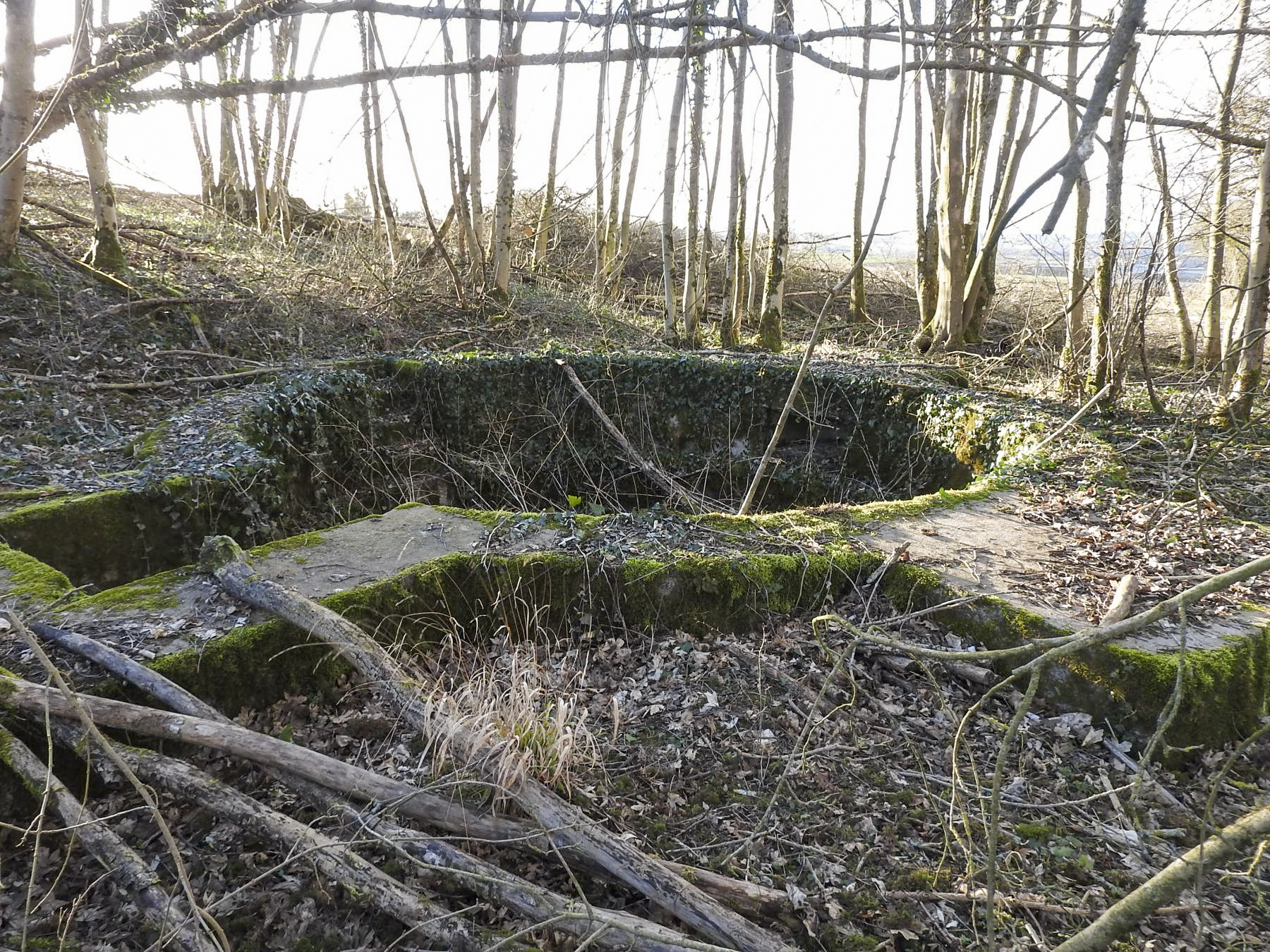 Ligne Maginot - BC1 - HOCHGERICHT - (Cuve pour canon) -  - STENGER Mathieu