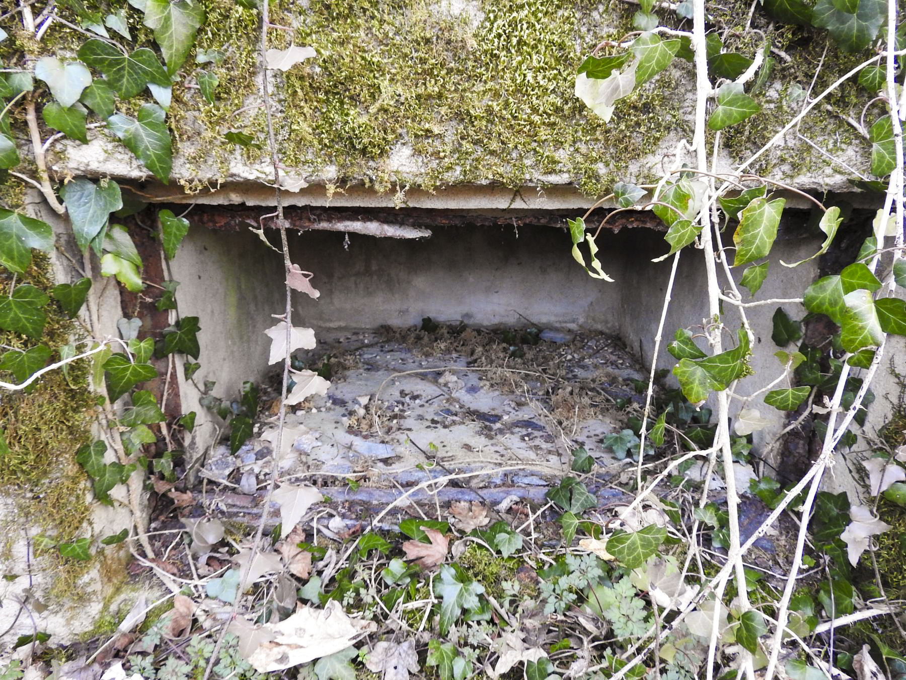 Ligne Maginot - BC1 - HOCHGERICHT - (Cuve pour canon) - Une des niches à munitions. - STENGER Mathieu