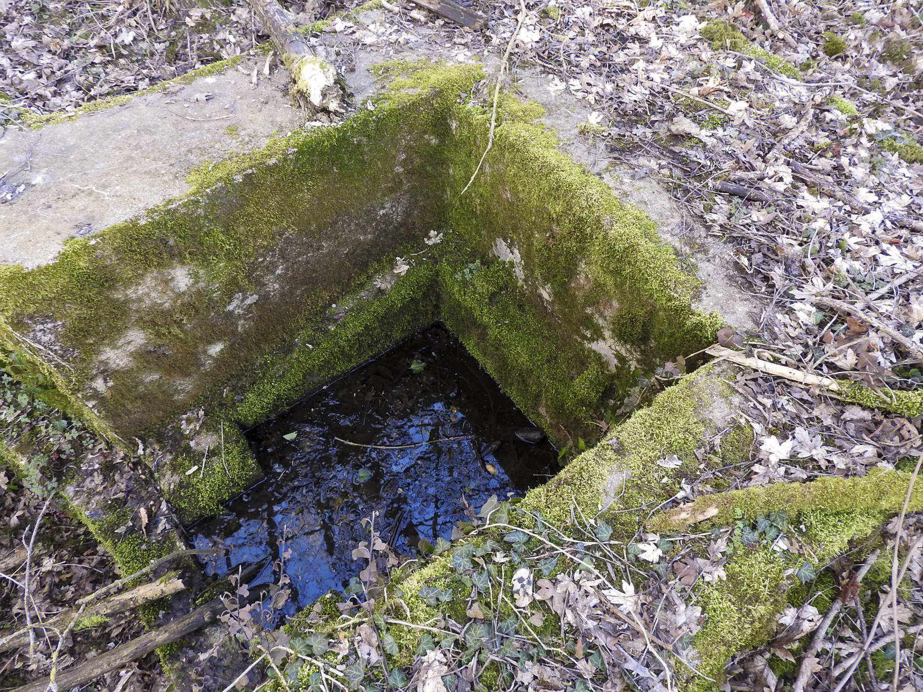 Ligne Maginot - BC1 - HOCHGERICHT - (Cuve pour canon) - Le puits d'accès à l'abri non construit. - STENGER Mathieu