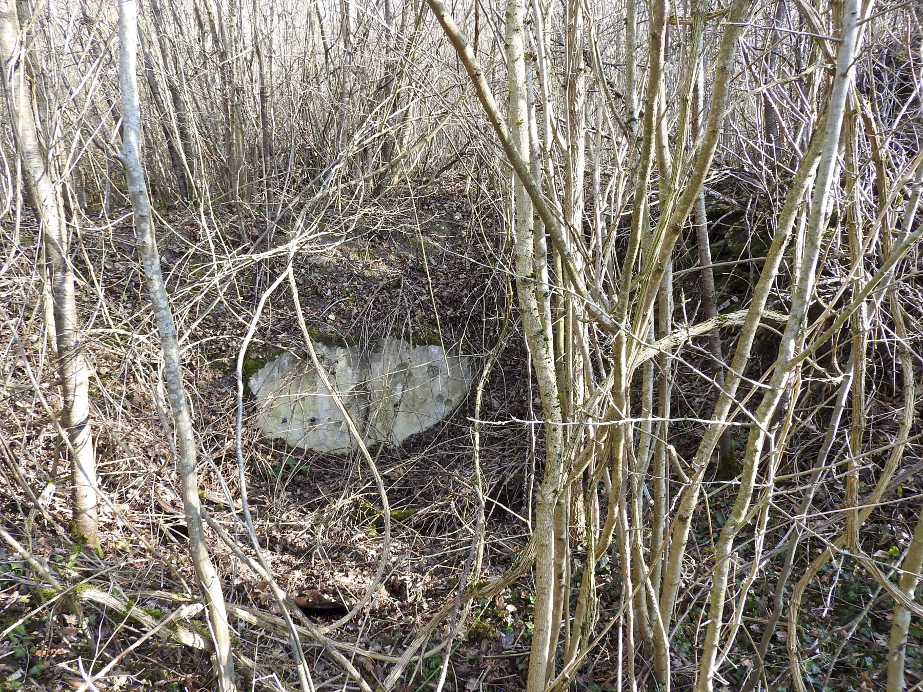 Ligne Maginot - BB19 - BOIS DU STUDEN (1° CEFV/I/161° RIF ?) - (PC de Sous-Quartier) - L'emplacement du deuxième alveole, totalement en ruine - STENGER Mathieu