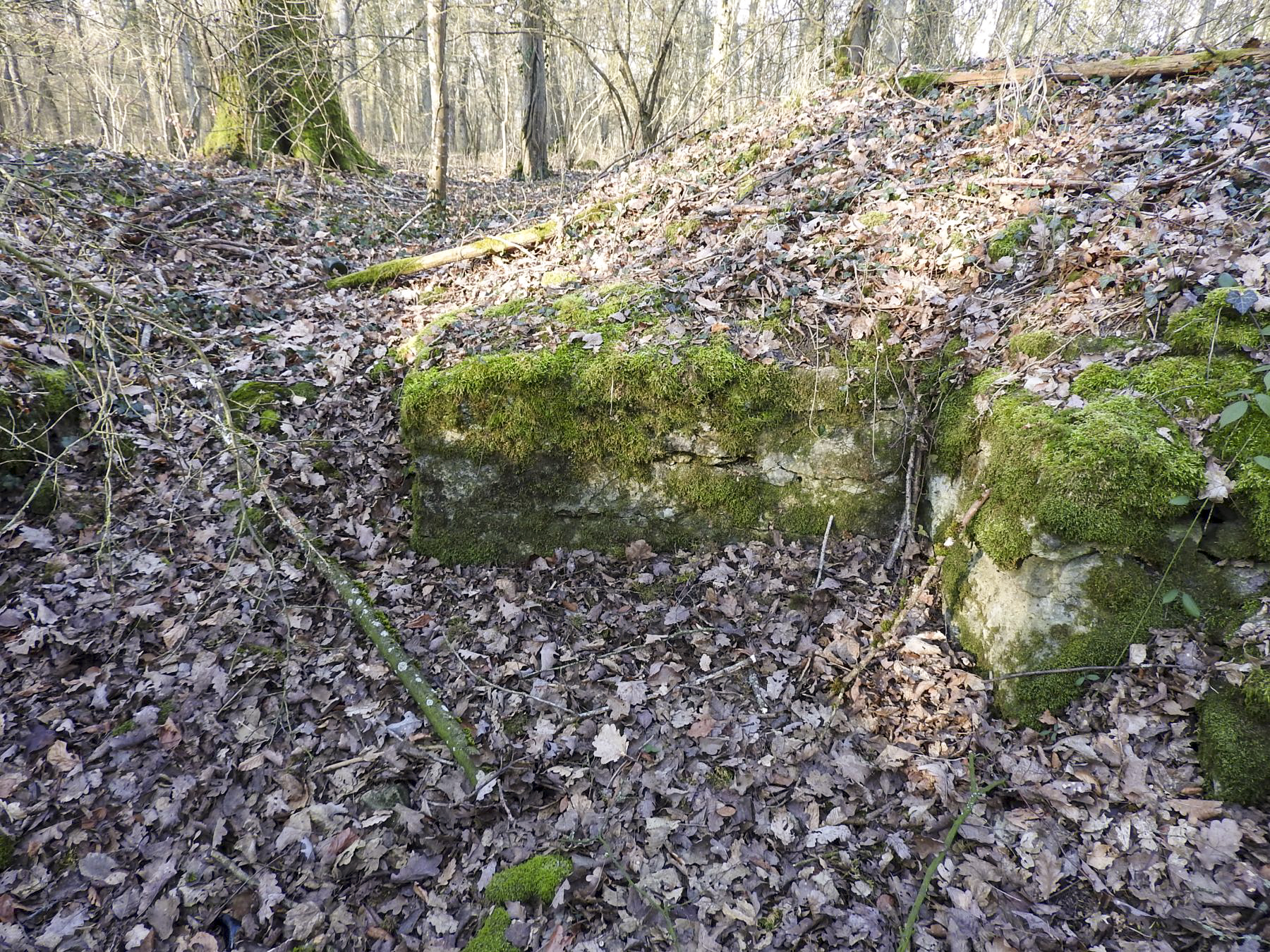 Ligne Maginot - STUDEN - (Abri) - Le reste du muret de l'entrée. - STENGER Mathieu