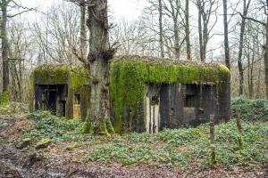Ligne Maginot - A35 - JEAN DIOT - (Blockhaus pour canon) - 
