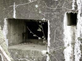 Ligne Maginot - A35 - JEAN DIOT - (Blockhaus pour canon) - 