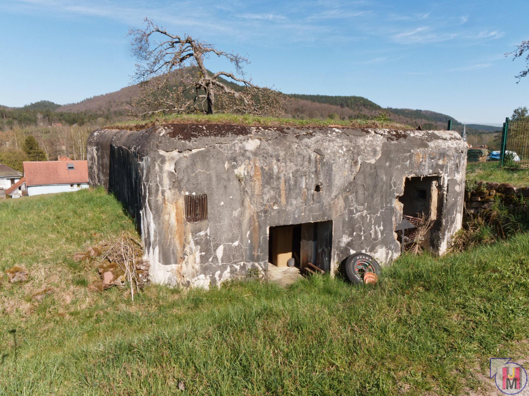 Ligne Maginot - DAMBACH - LA CHAPELLE SUD - (Blockhaus pour canon) -  - Jürgen Morr