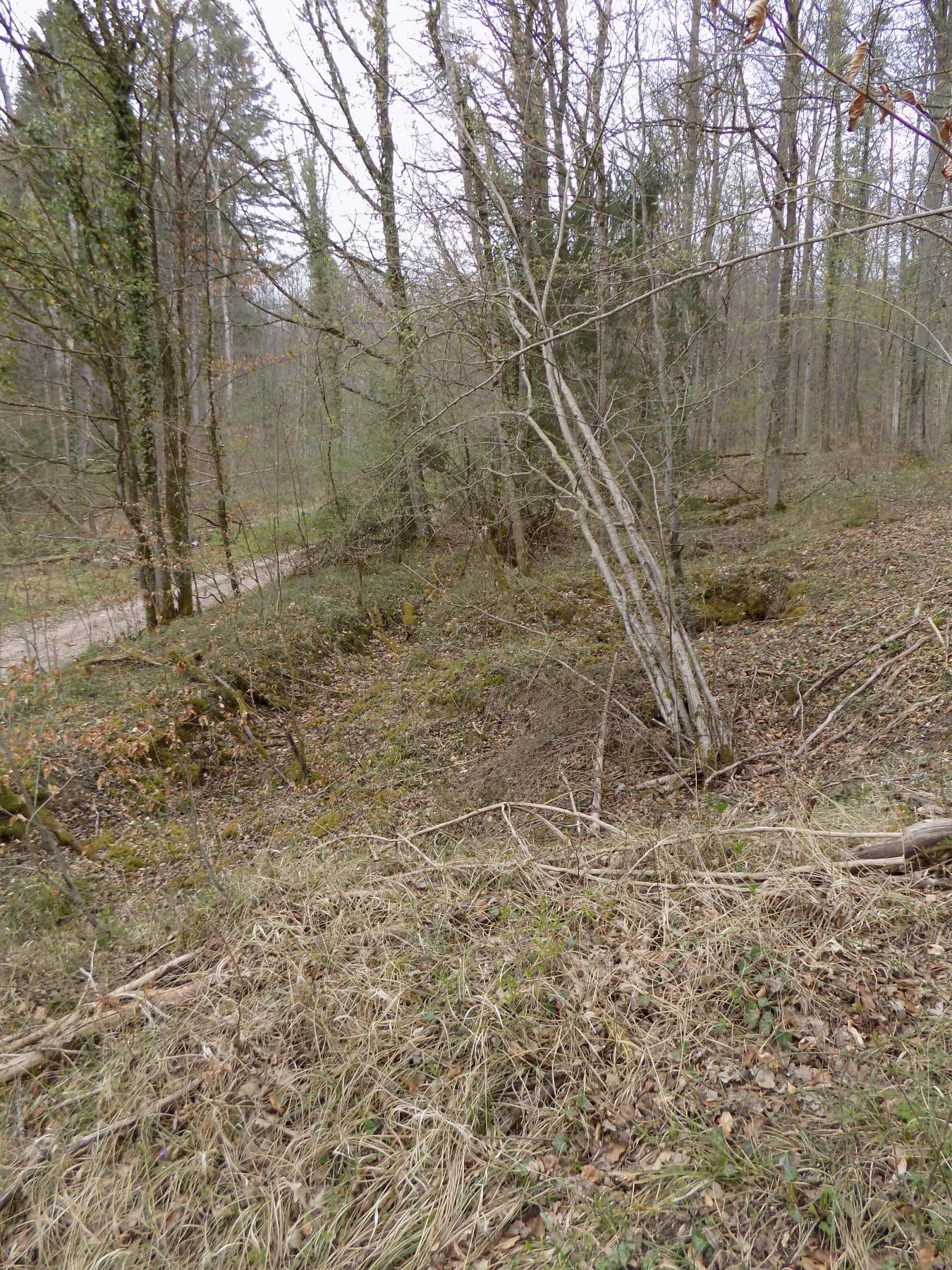 Ligne Maginot - SAUER (III°BON - 165°RIF) - (PC de Quartier) - Trace de l'emplacement des 3 cahutes installées à proximité - J.luc