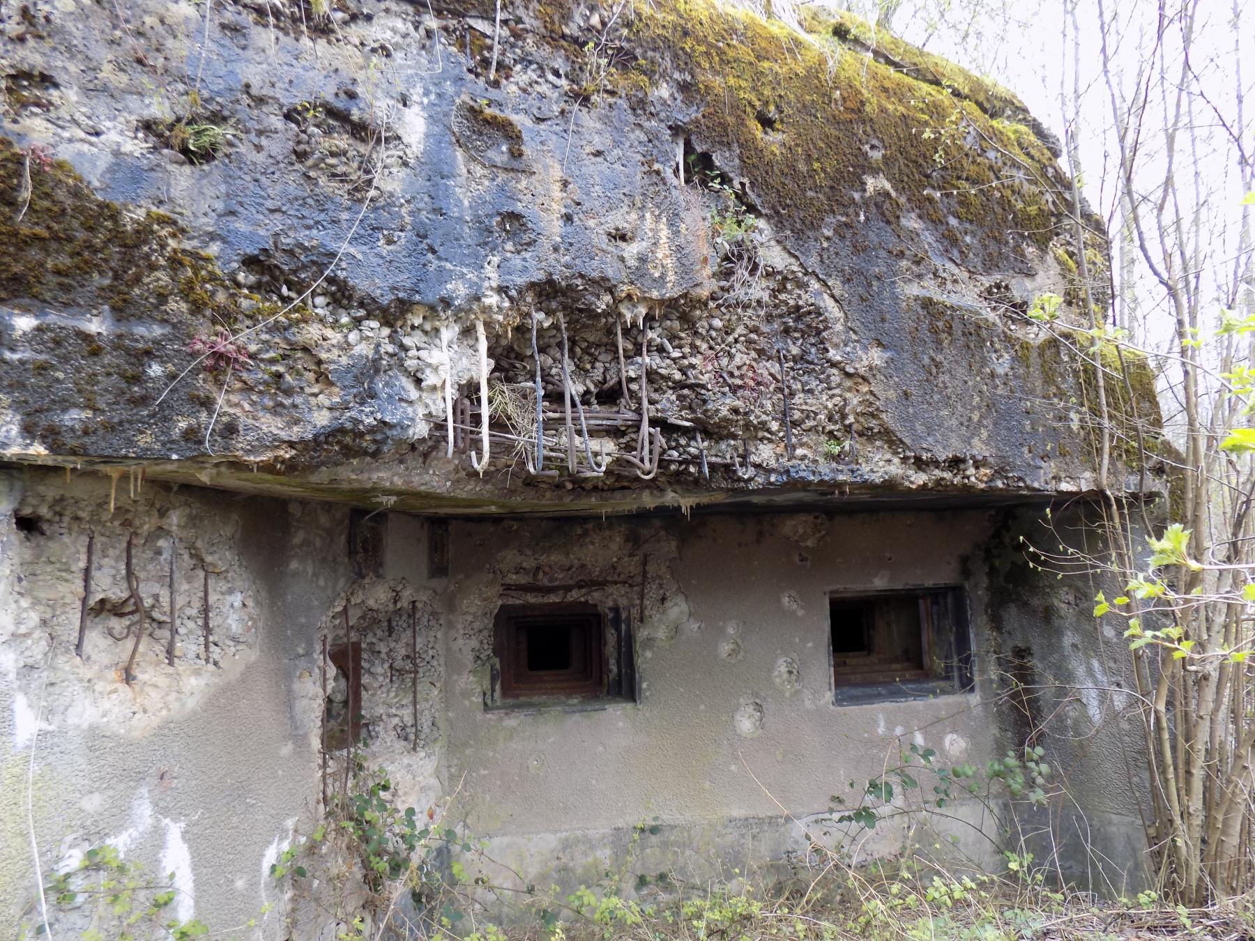Ligne Maginot - FREUDENBERG - (Casemate d'infanterie) - Vue globale - Luc Jacquemin