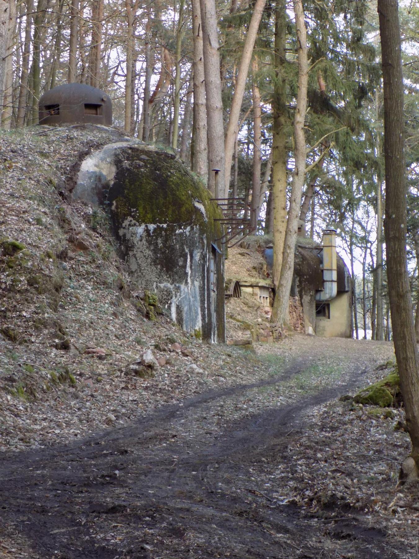 Ligne Maginot - KINDELBERG (QUARTIER CAMP - III/37° RIF) - (Abri) - Vue des coffres est et ouest restaurés - JL