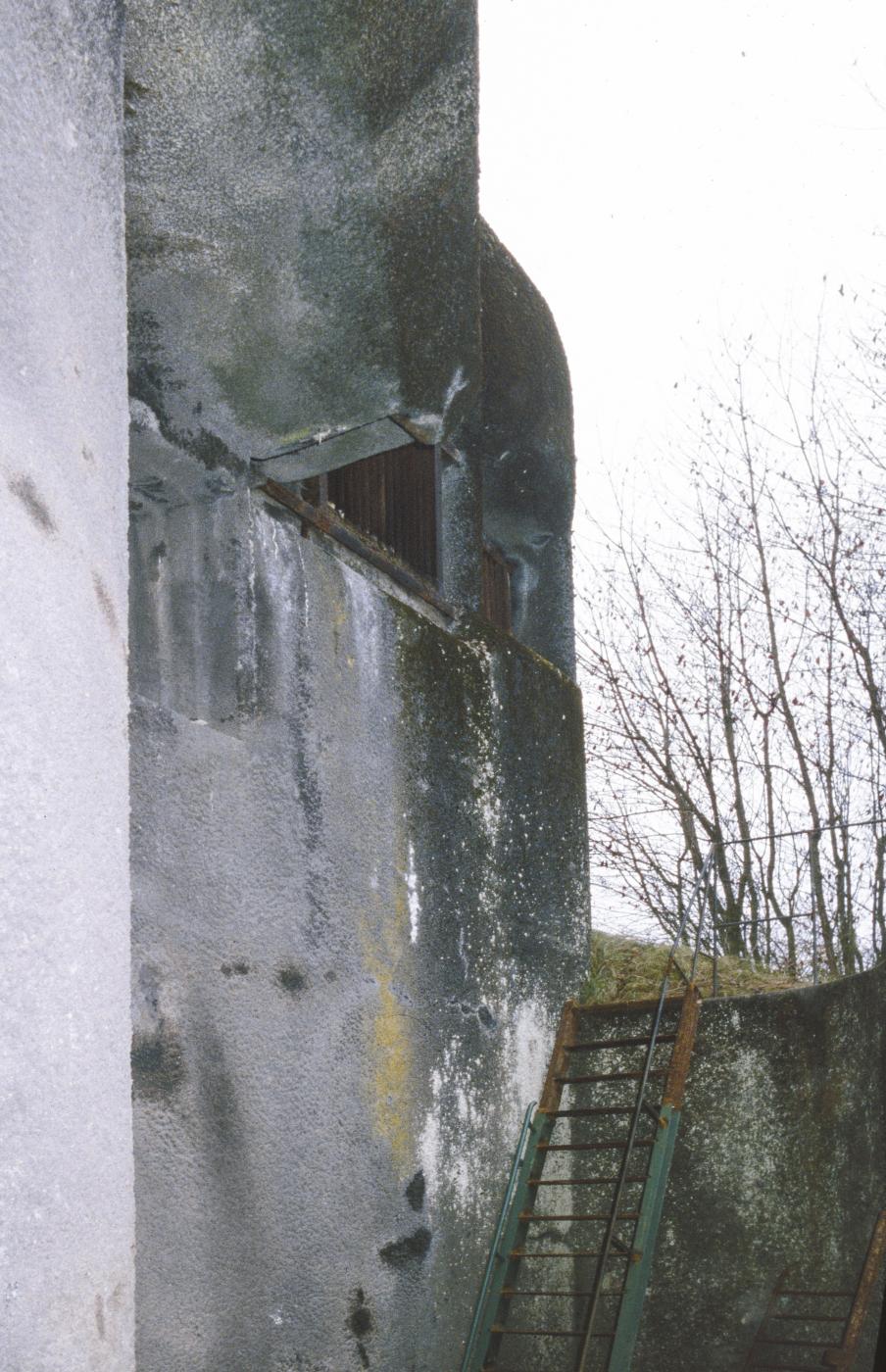 Ligne Maginot - ANZELING - A25 - (Ouvrage d'artillerie) - Bloc 9
Le fossé devant le bloc - MANSUY Michel