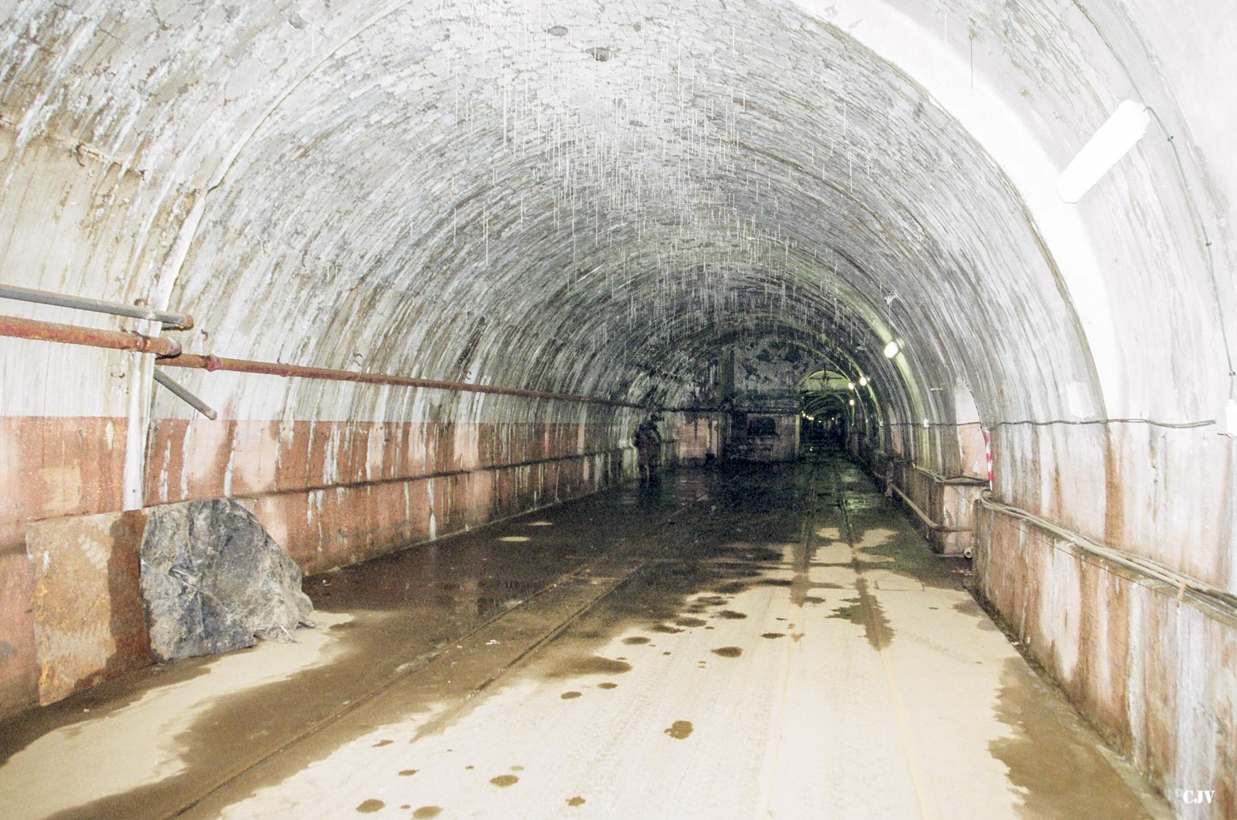 Ligne Maginot - ANZELING - A25 - (Ouvrage d'artillerie) - Gare de déchargement - Lia VERMEULEN